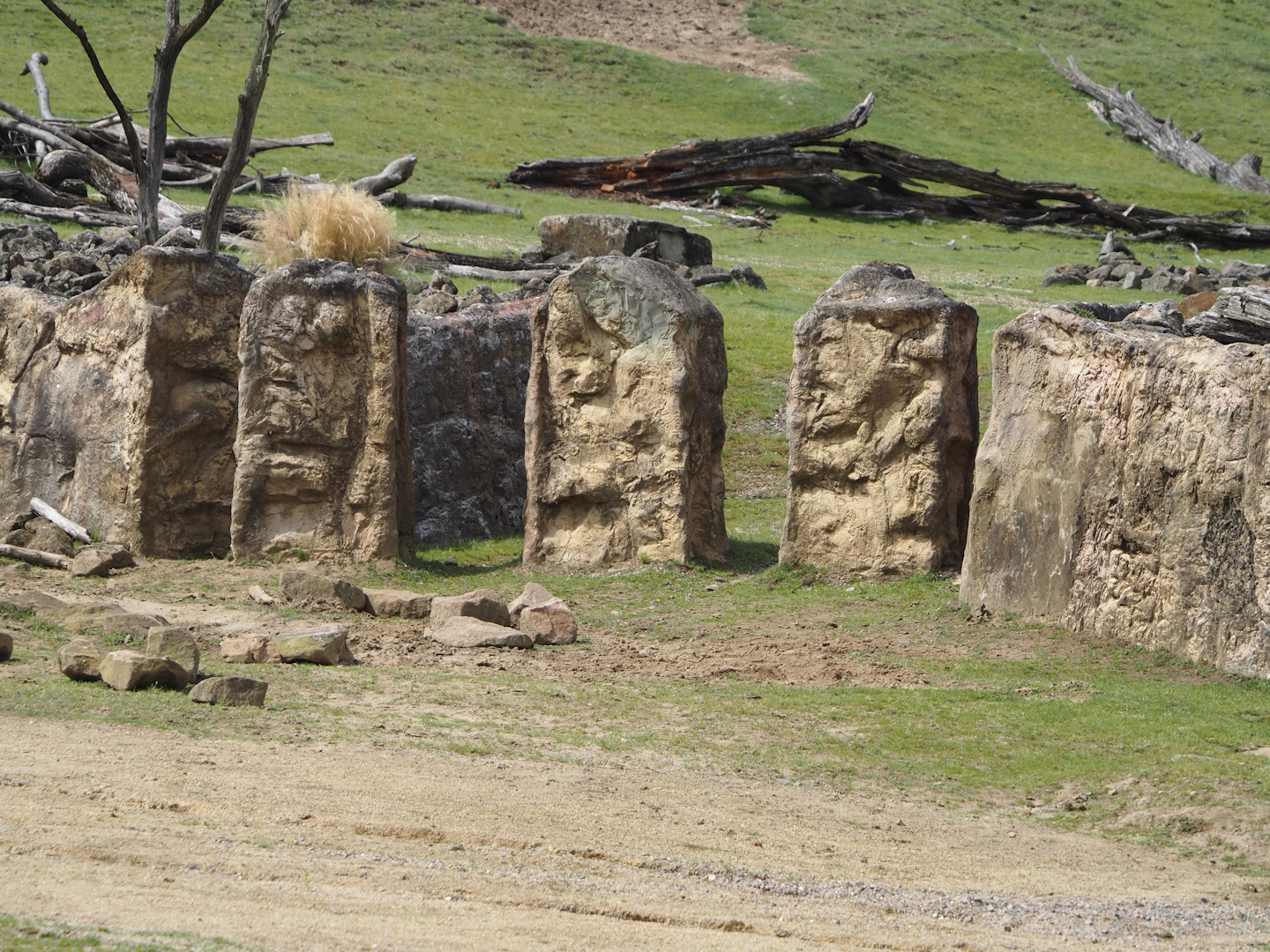 Grass savanna exhibit - Connection between main exhibit and rhinoceros exhibit, 2024-08-05