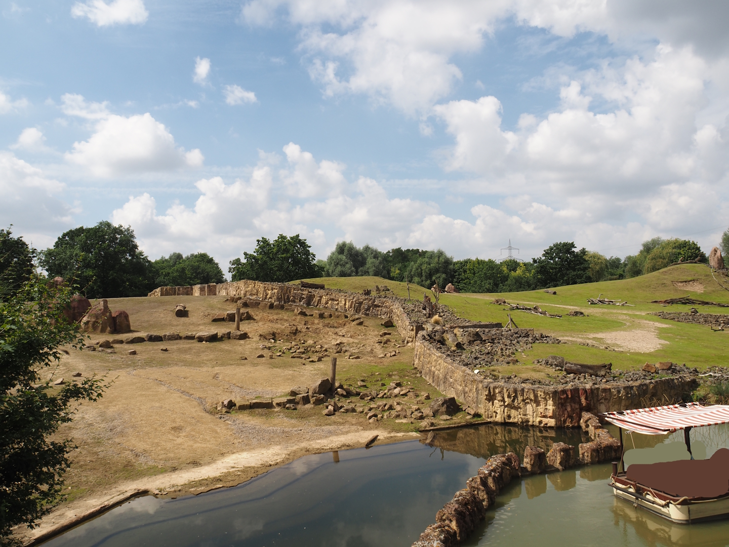Grass savanna exhibit - Main exhibit and Southern white rhinoceros exhibit, 2024-08-05
