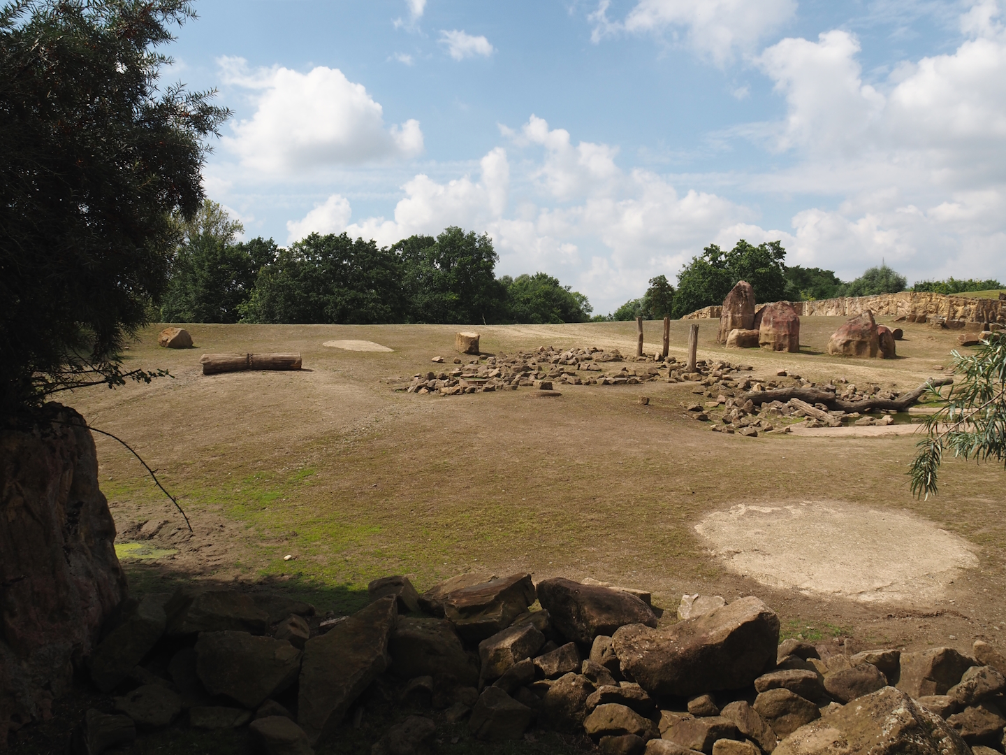 Grass savanna exhibit - Southern white rhinoceros exhibit, 2024-08-05