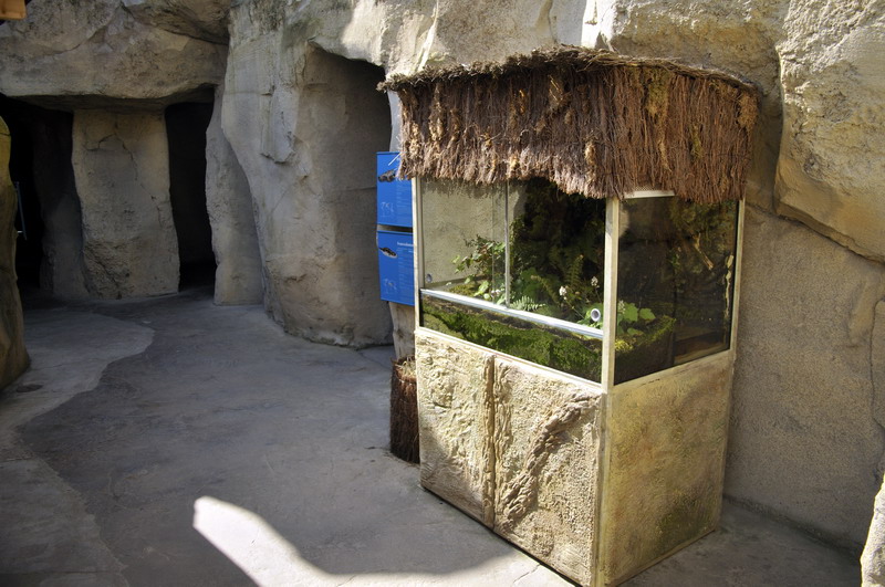 Grass snake enclosure at Bremerhaven zoo