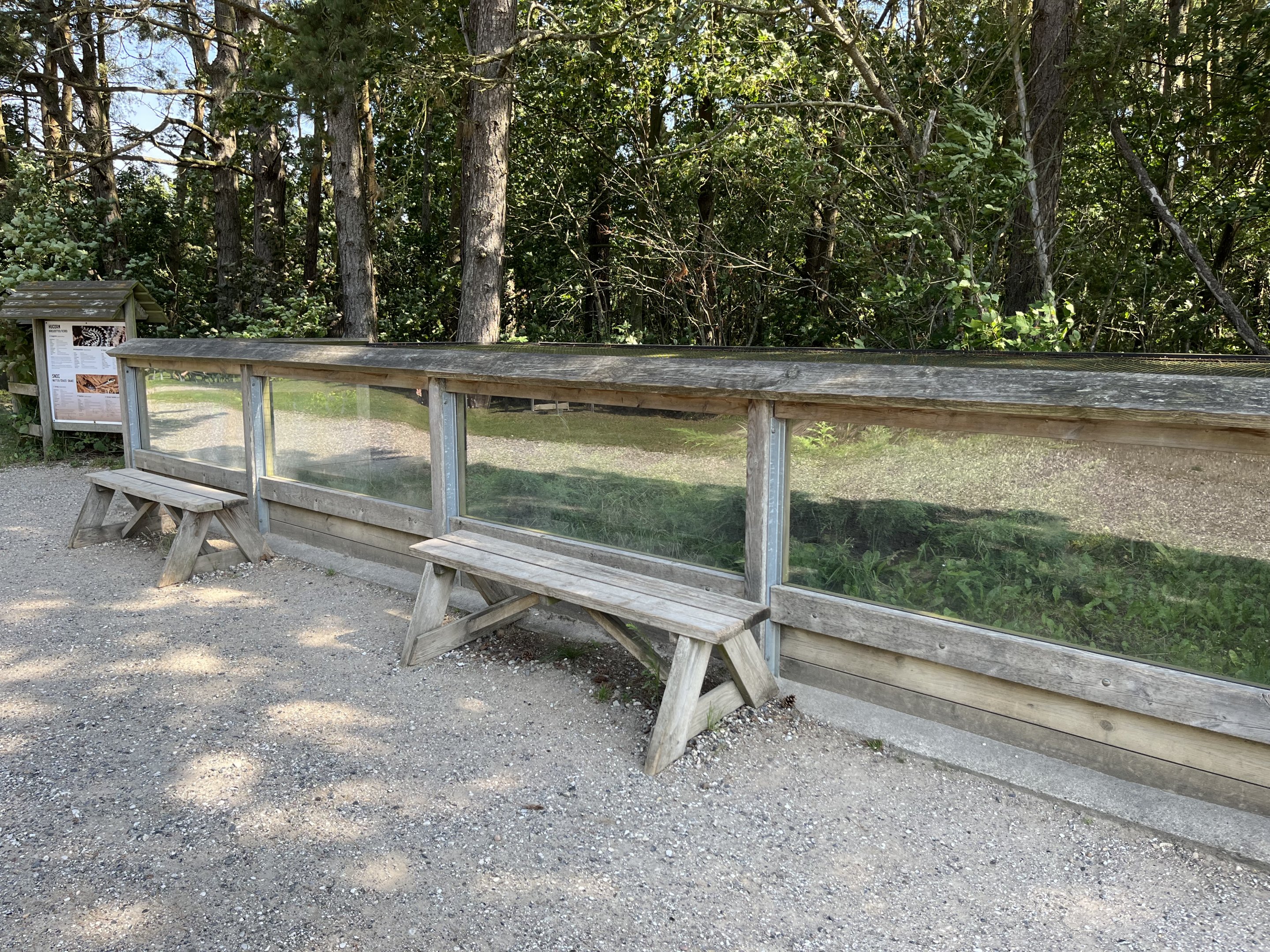 Grass Snake + Viper Exhibit