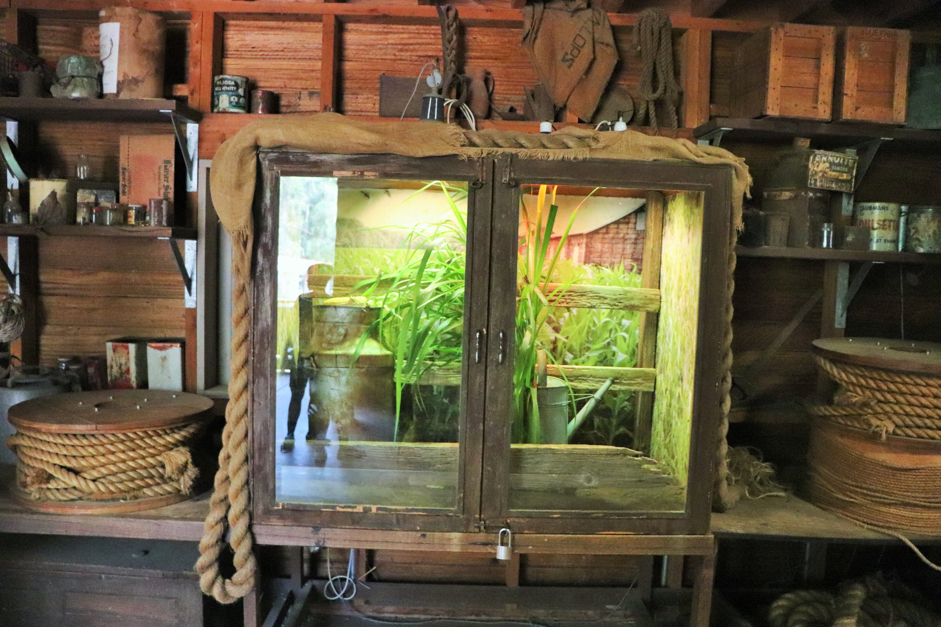Grasshopper Enclosure