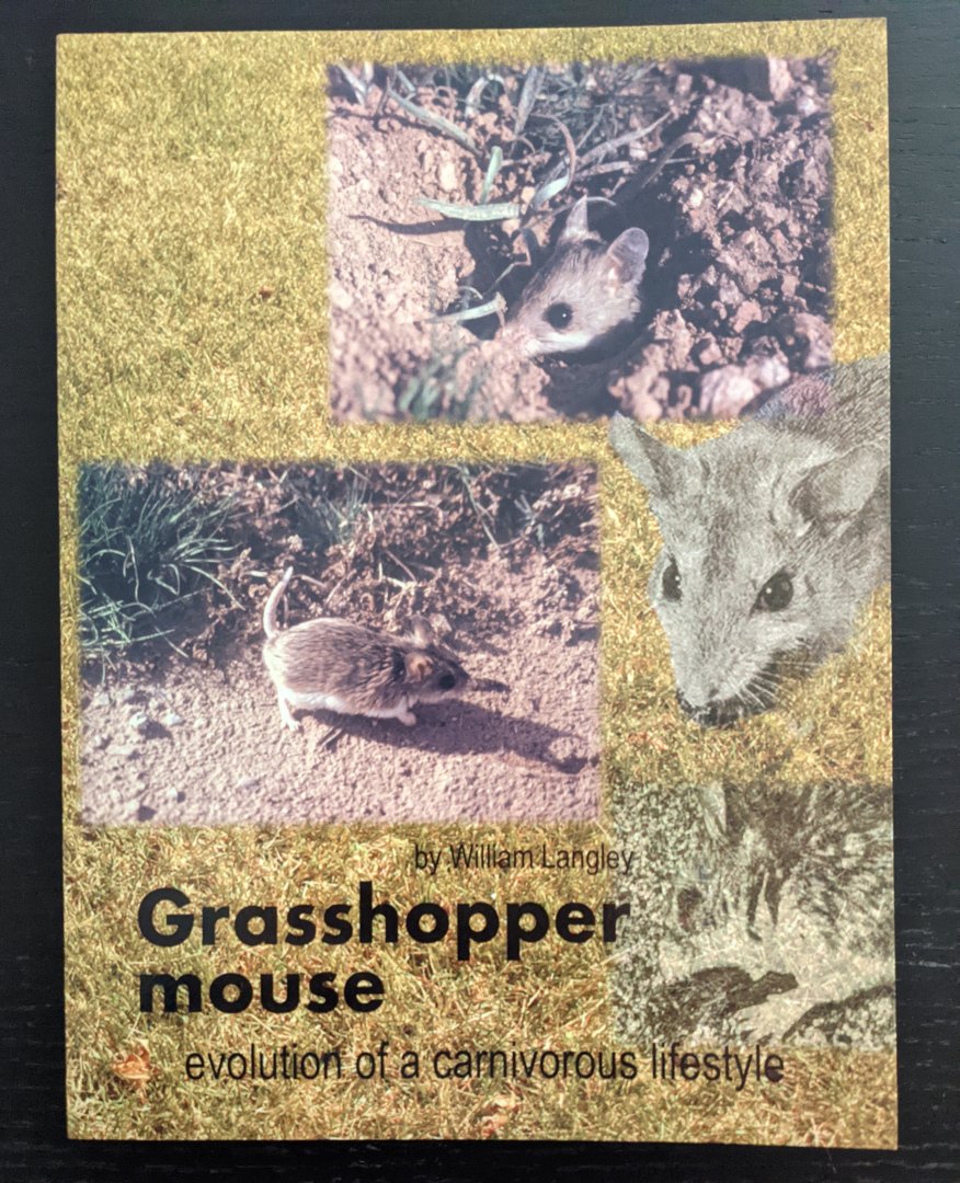 Grasshopper mouse - Evolution of a Carnivorous Lifestyle