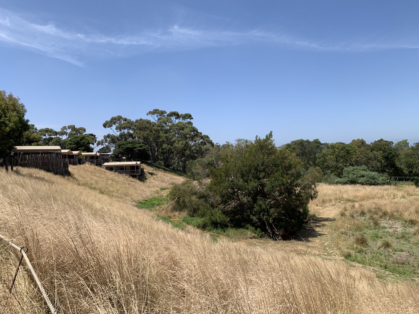 Grassland and Accomodation