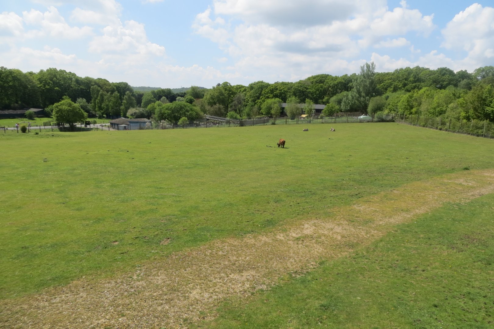 Grassland enclosure 110519