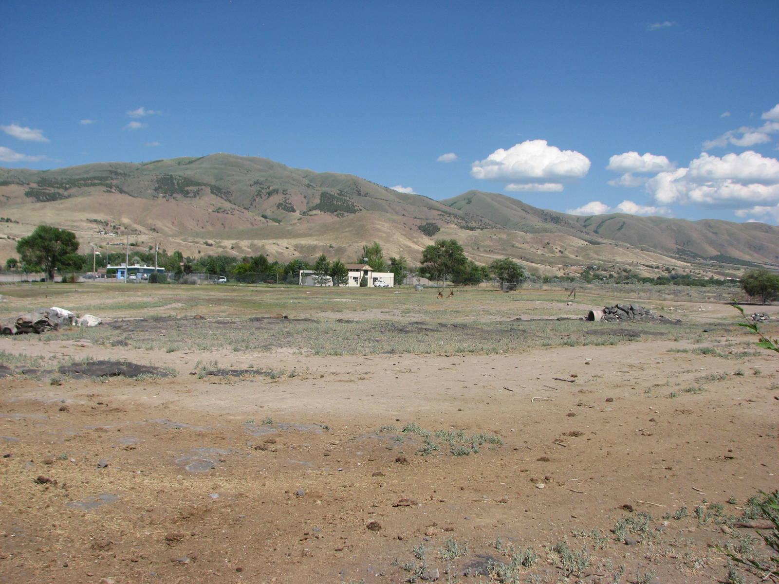 Grassland Exhibit - Bison, Elk, Deer, Pronghorn