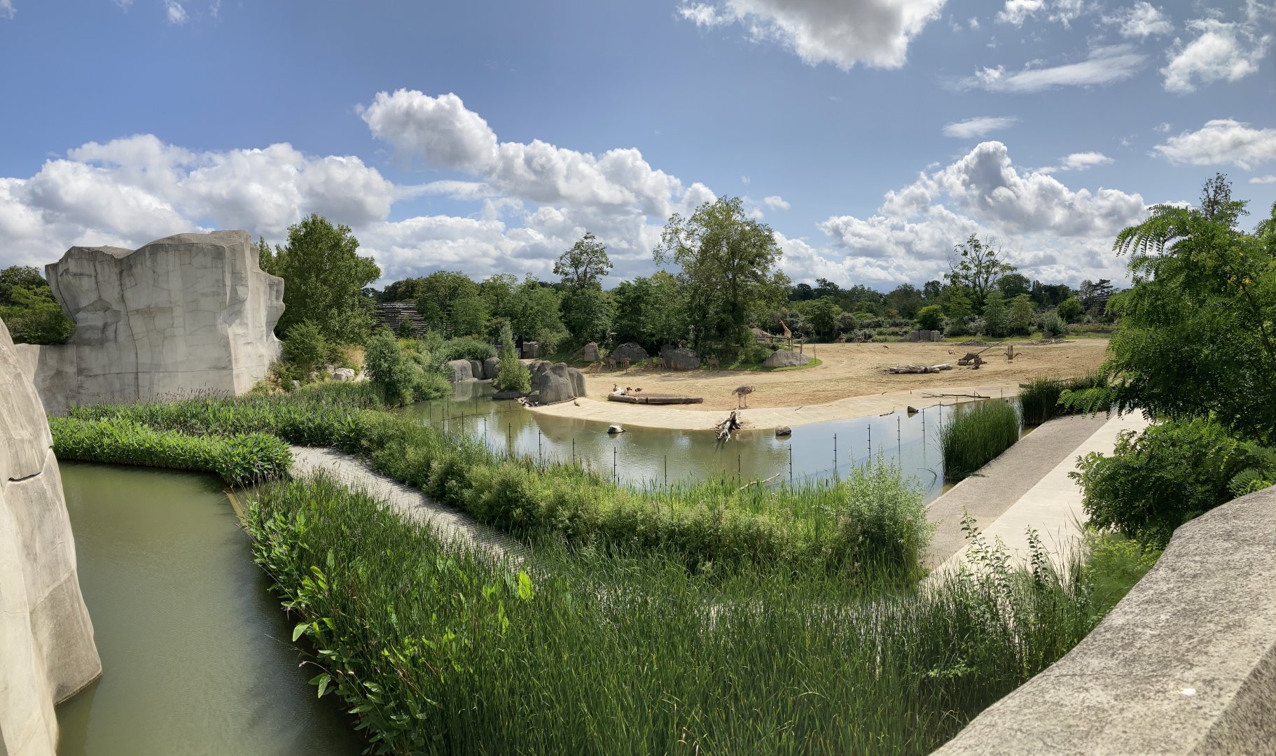 Grassland exhibit panorama