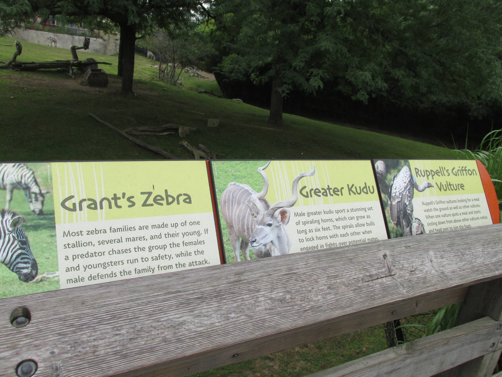 Grassland Field Species List