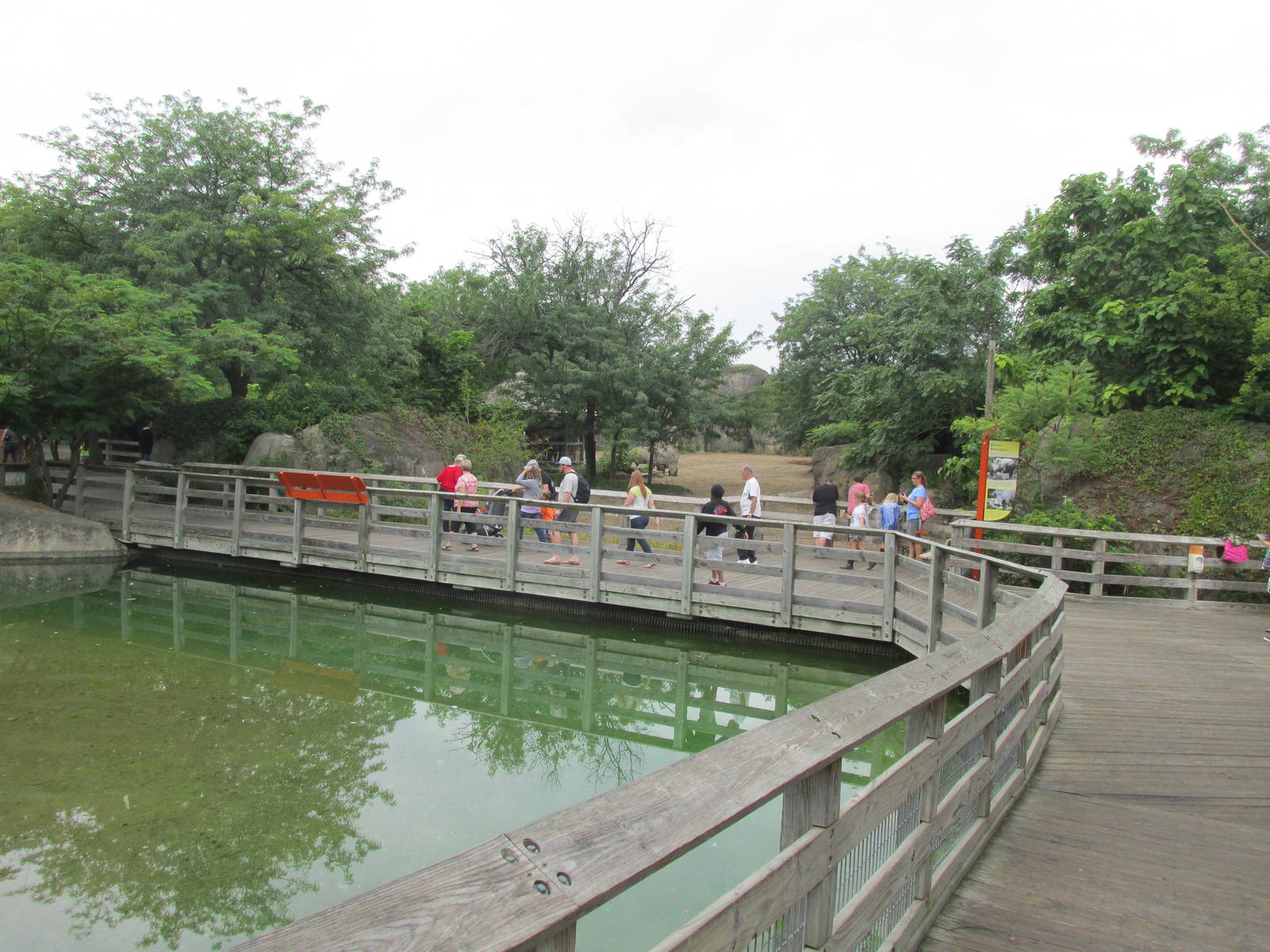 Grassland Pool (looking towards rhinos)