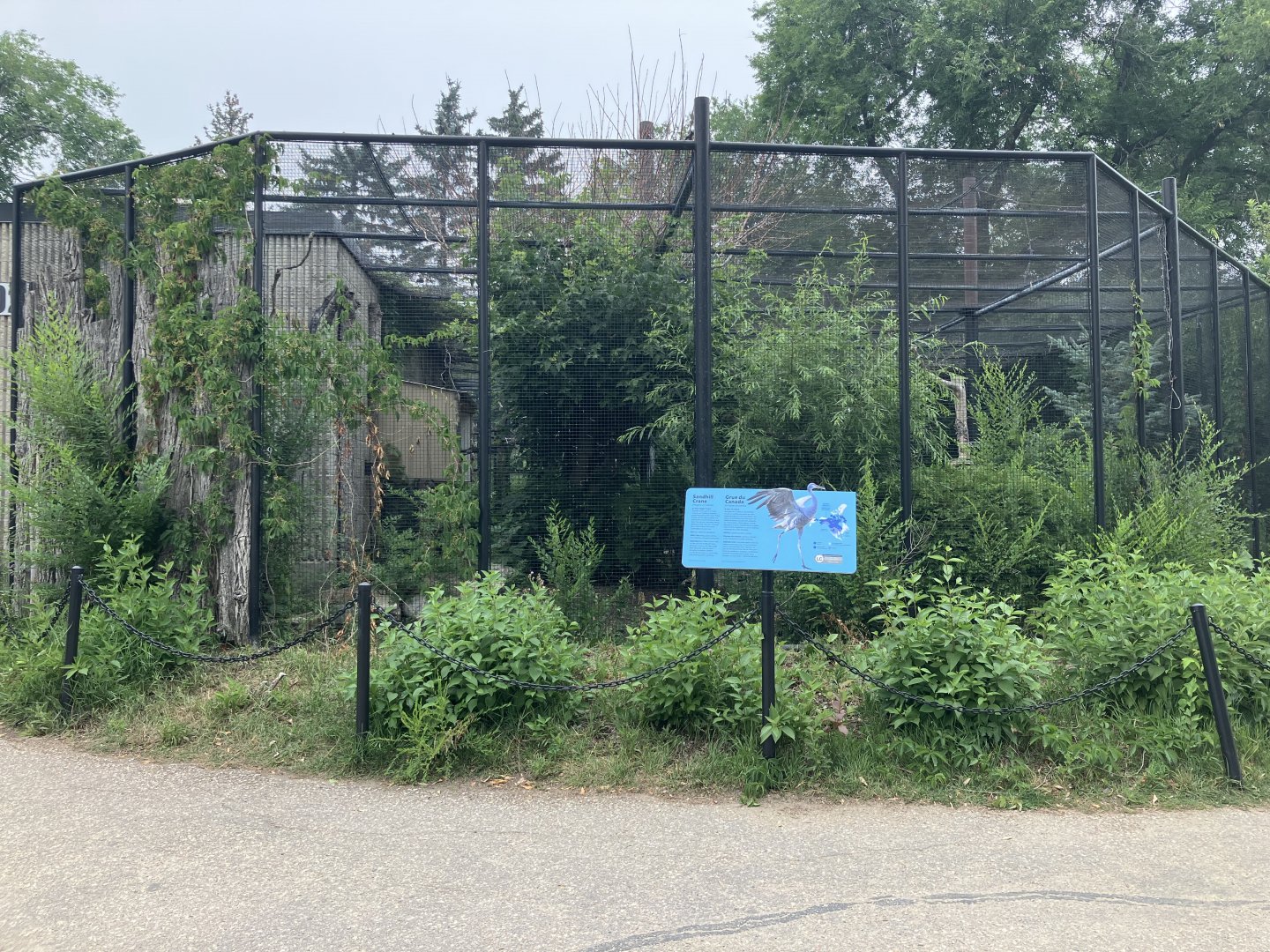 Grasslands & Boreal Forests - Sandhill Crane Exhibit