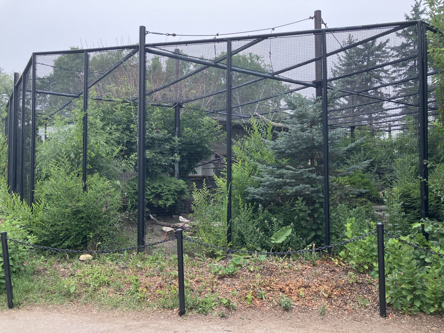Grasslands & Boreal Forests - Sandhill Crane Exhibit