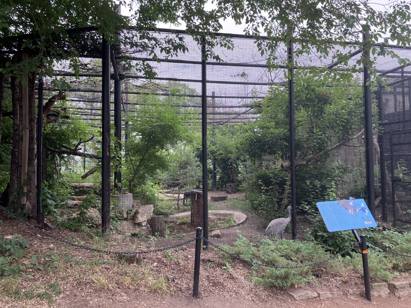 Grasslands & Boreal Forests - Sandhill Crane Exhibit