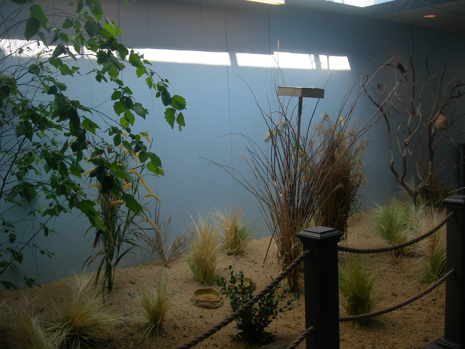 Grasslands Exhibit