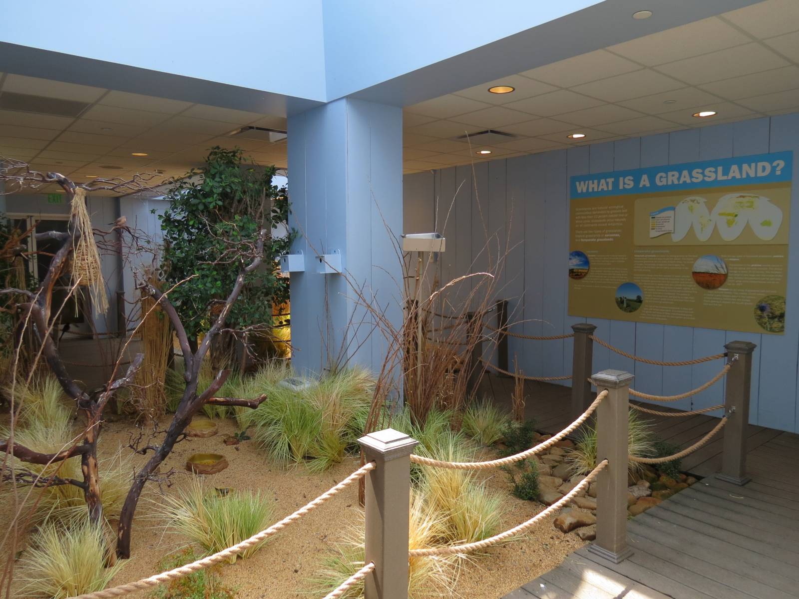 Grasslands - Interior