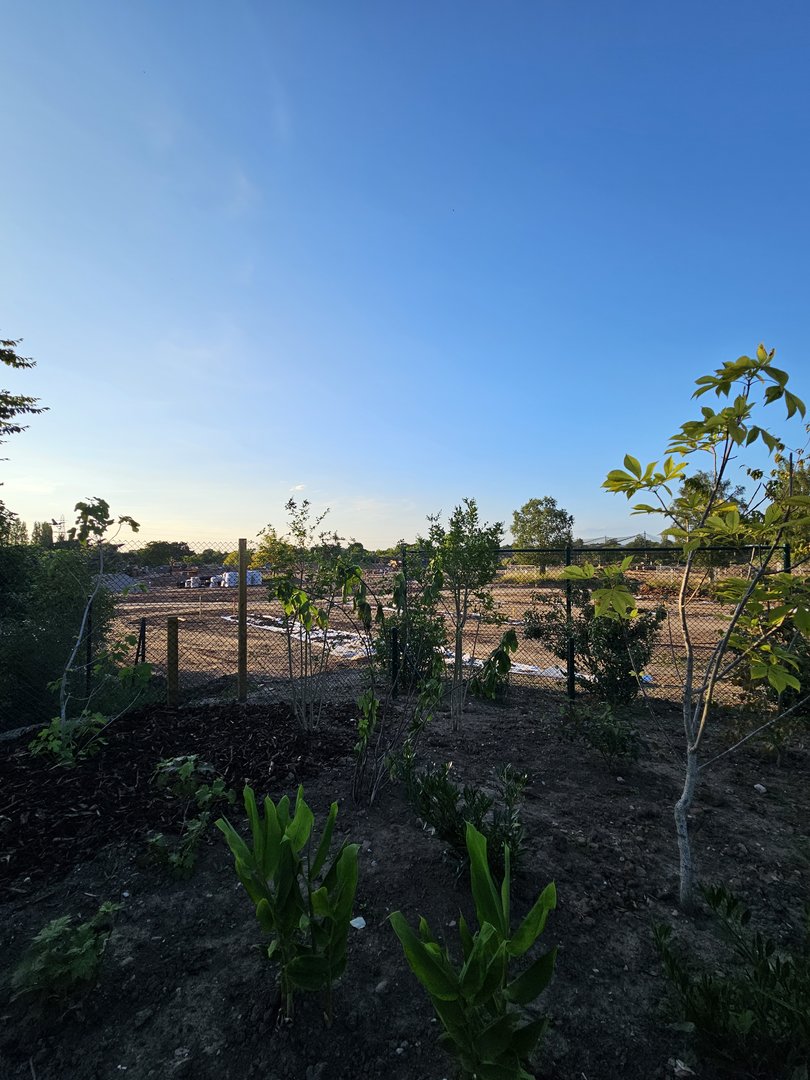 Grasslands view from path, plenty of planting