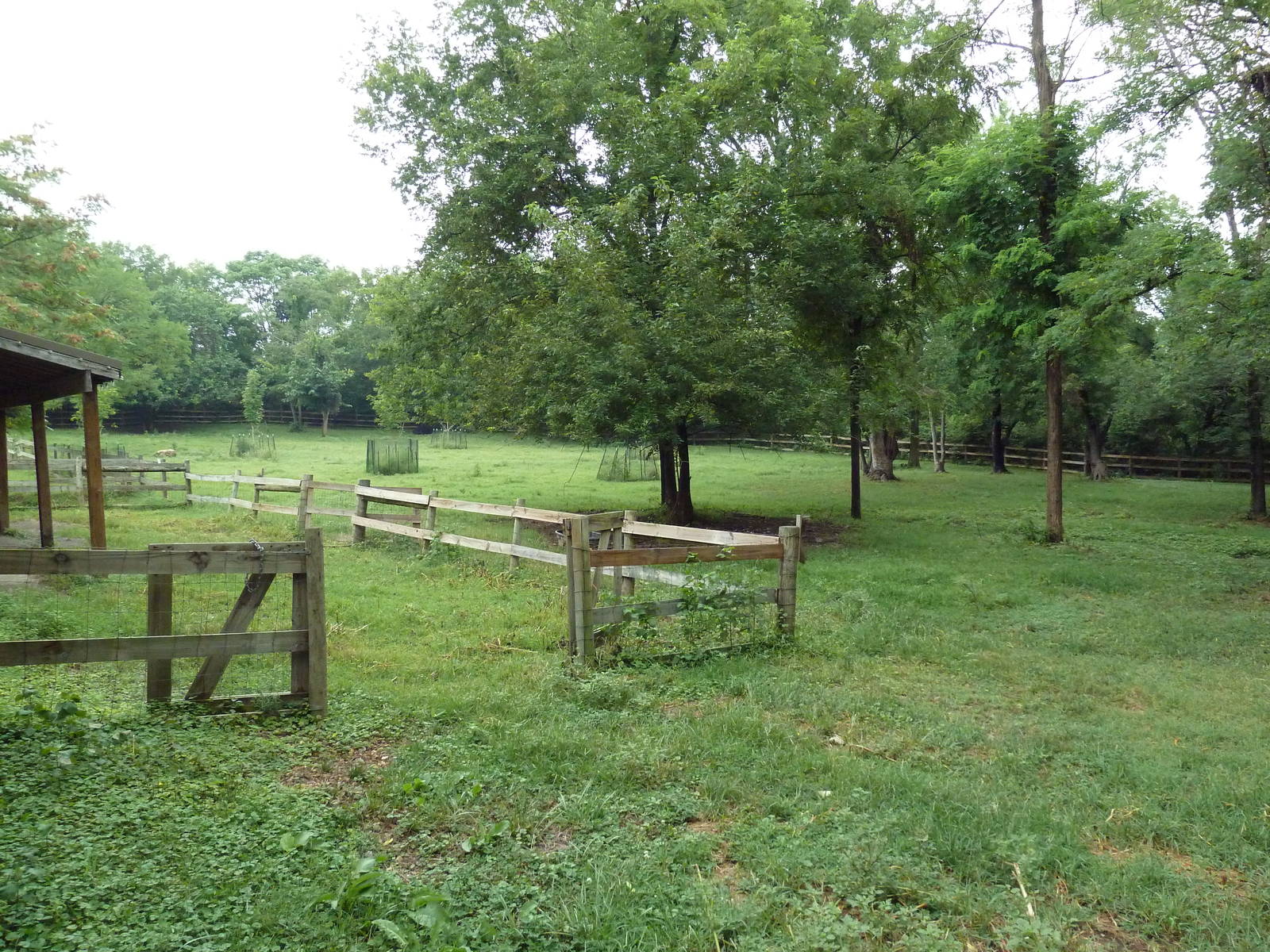 Grassmere Historic Farm
