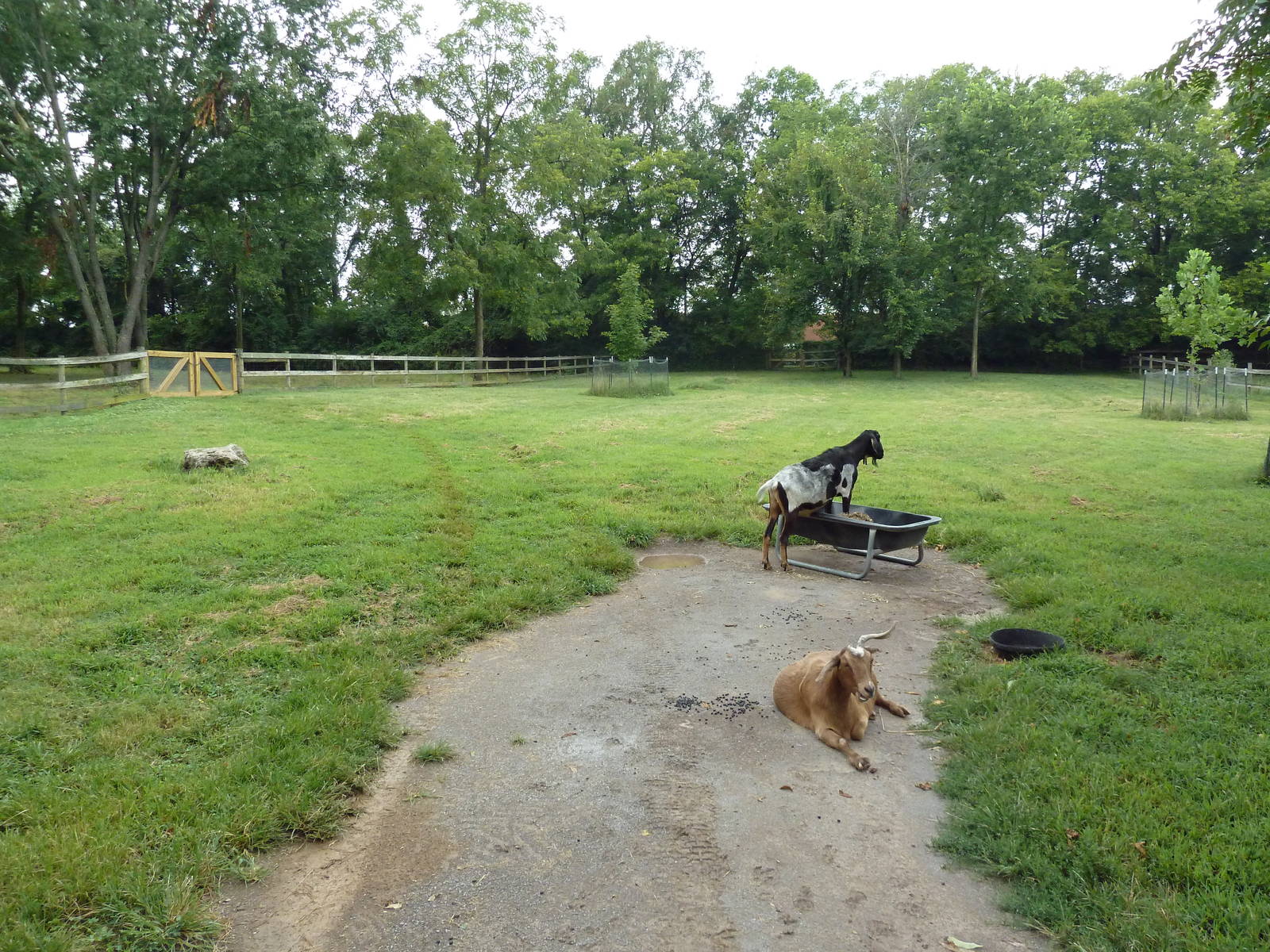 Grassmere Historic Farm