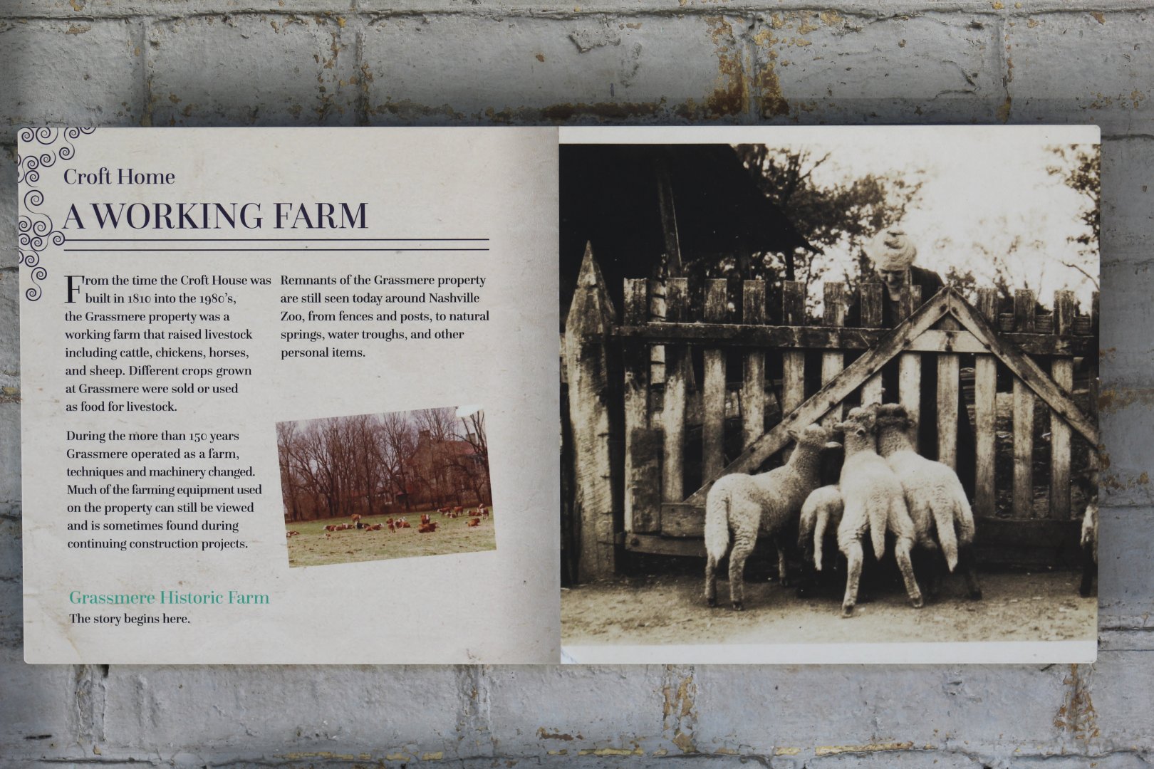 Grassmere Historic Farm