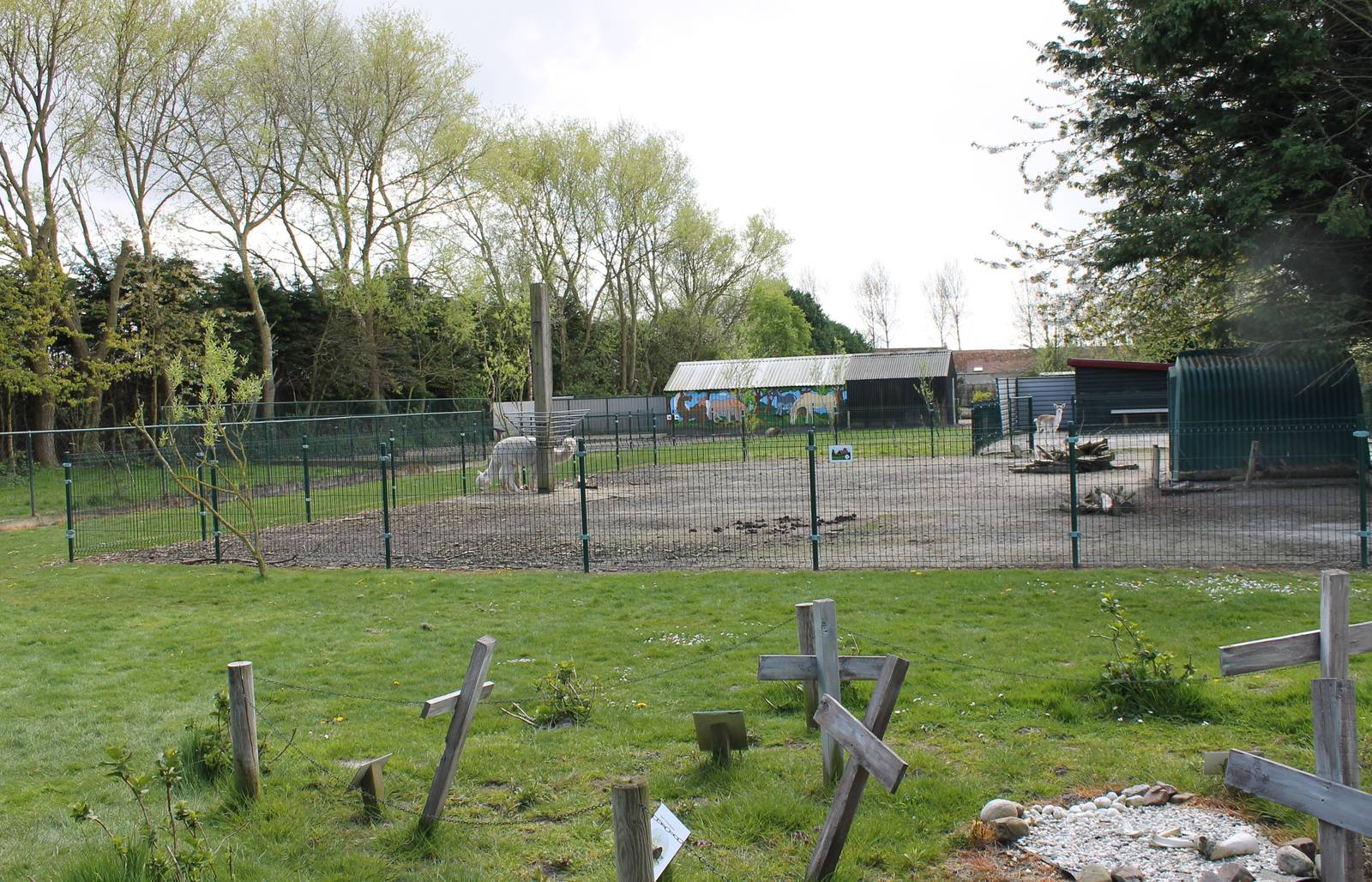 Grave-yard and Alpaca - Deer enclosure