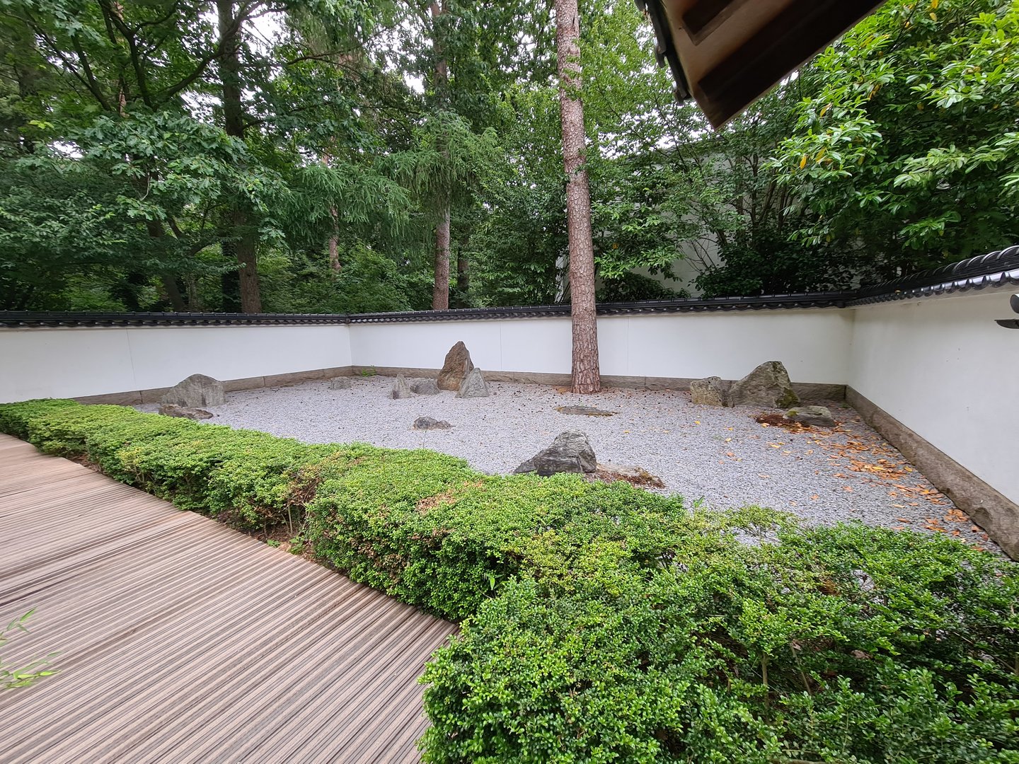 Gravel garden in Oriental garden