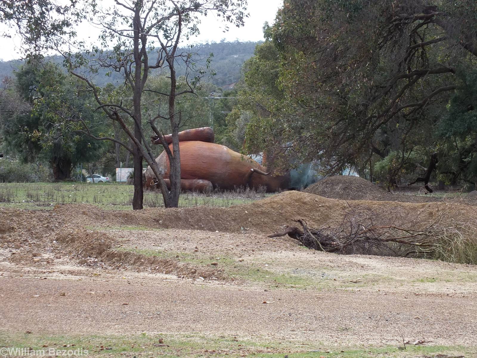 Graveyard of Broken Dinosaur Models - Cohunu Koala Park