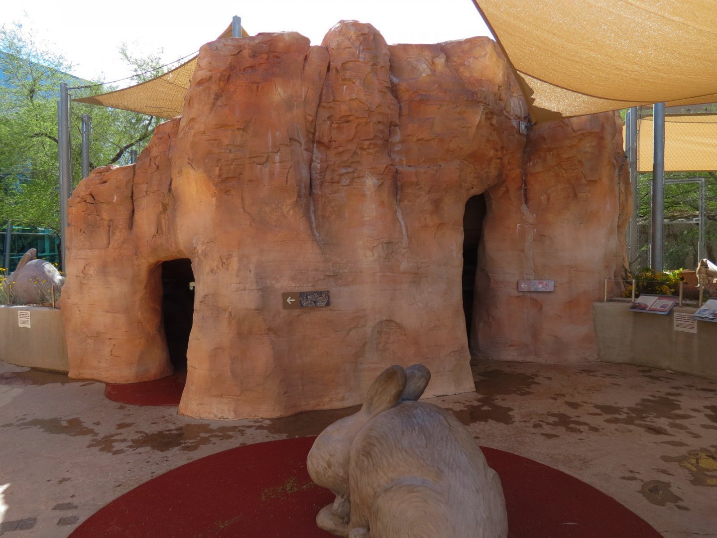 Gray Fox and Desert Cottontail Exhibits - Cave