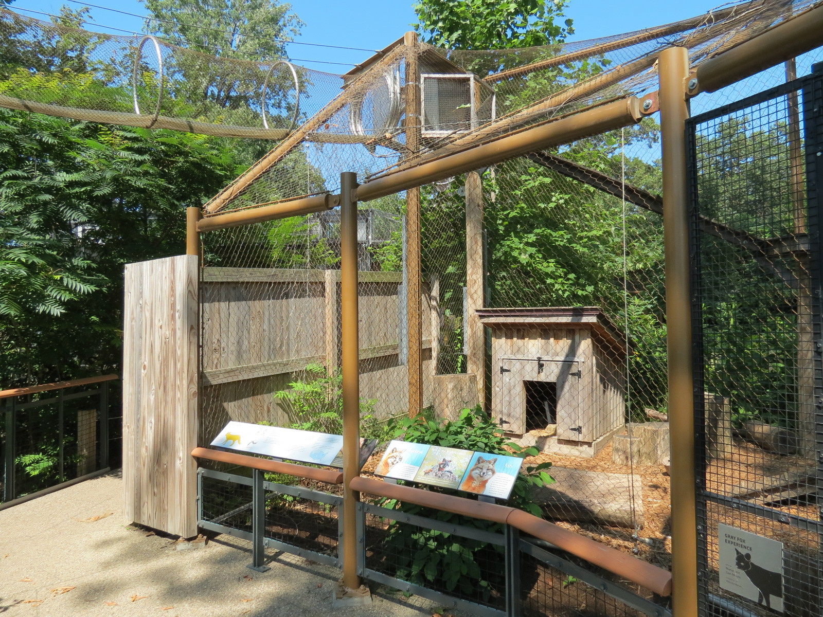 Gray Fox Exhibit with Access to Elevated Trailway