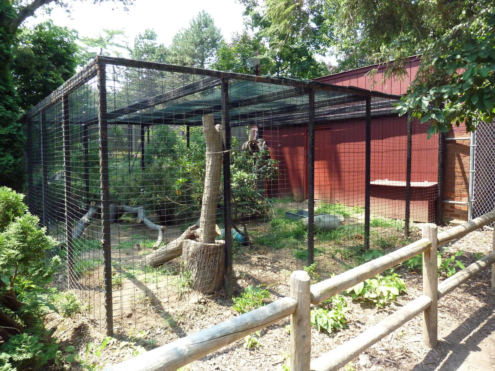 Gray Fox Exhibit