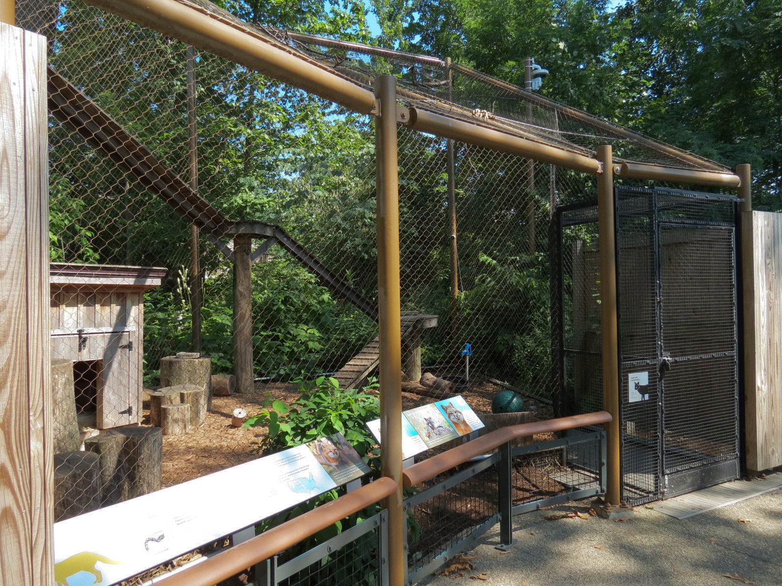 Gray Fox Exhibit