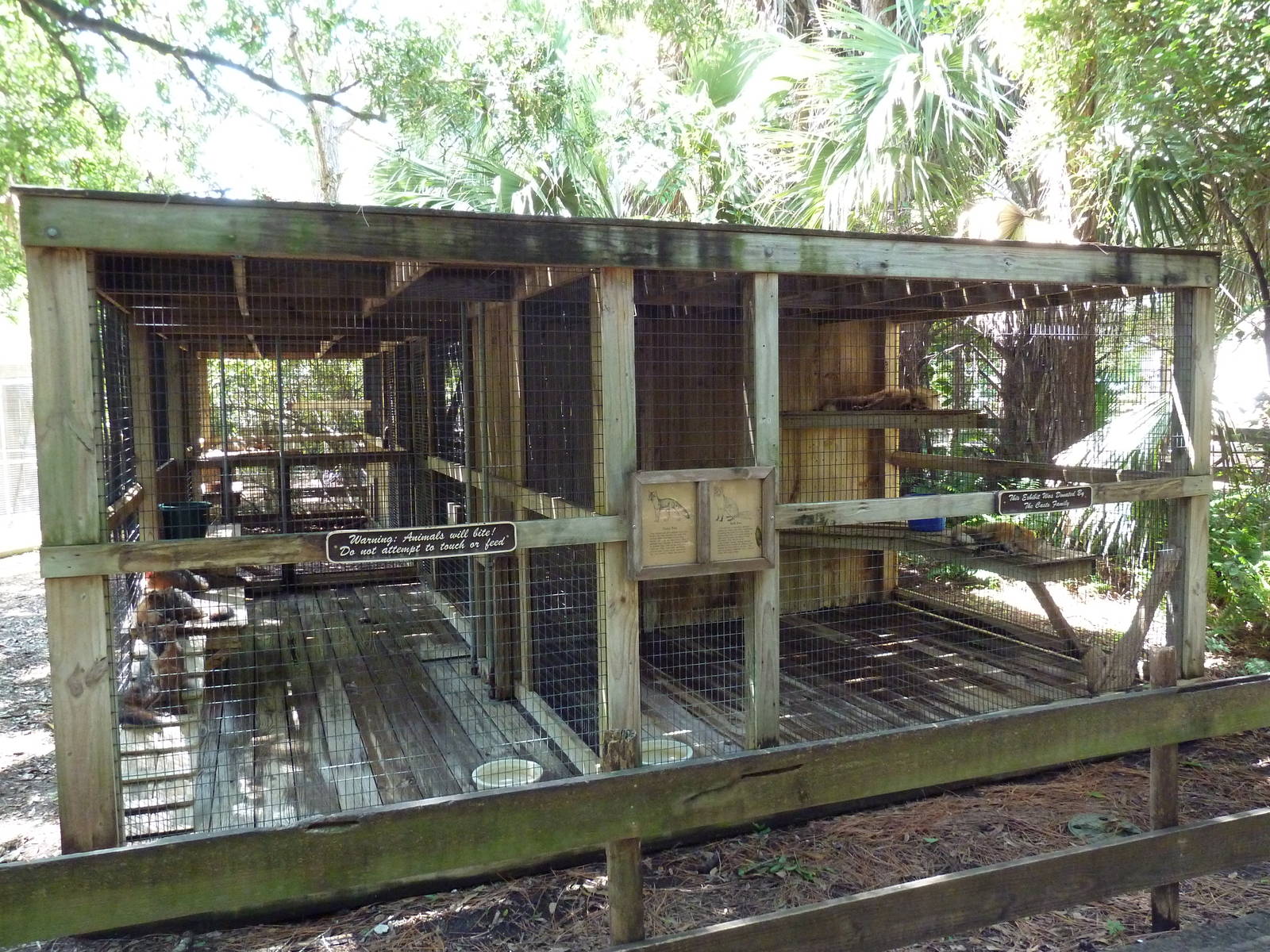 Gray Fox + Red Fox Exhibits