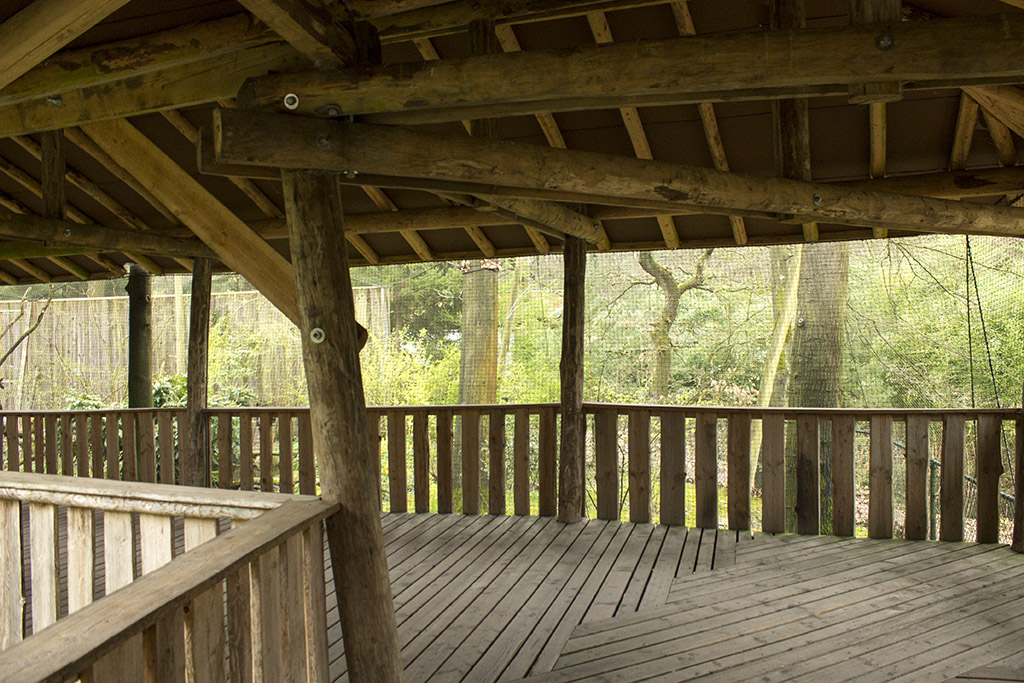 Gray langur aviary, 4/5/14