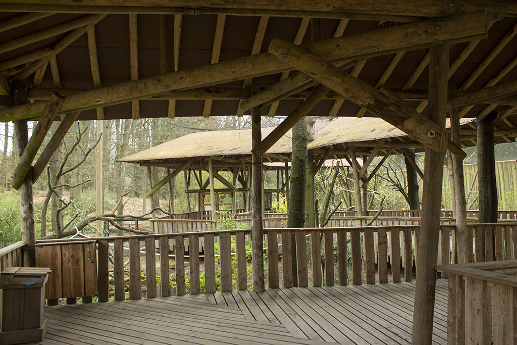 Gray langur aviary, 4/5/14