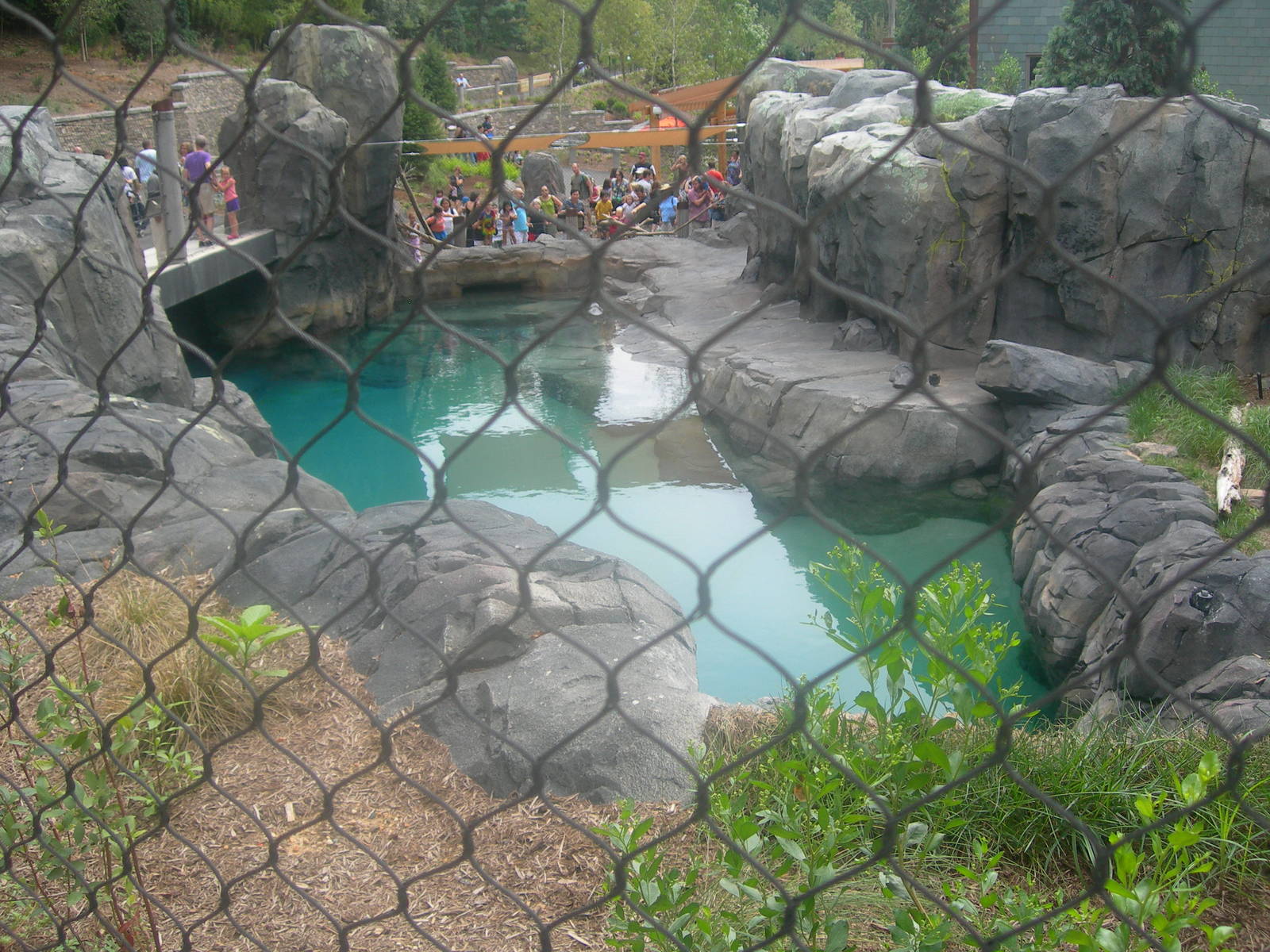 Gray seal Exhibit