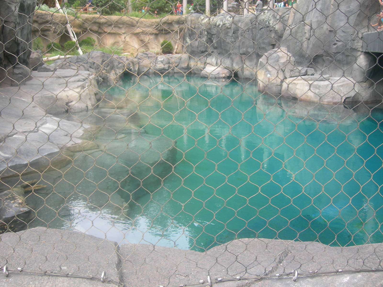 Gray seal Exhibit