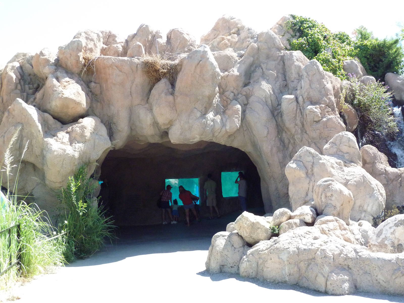 Gray Seal/Harbor Seal/California Sea Lion Exhibit