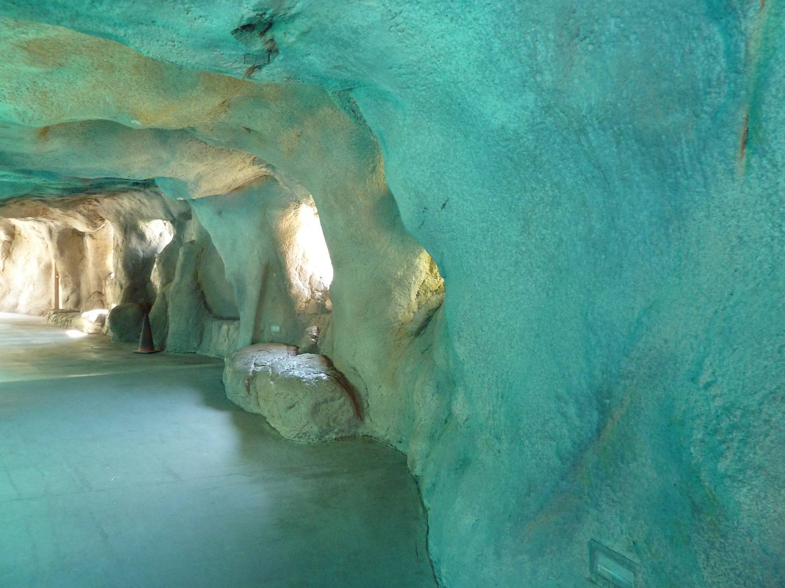 Gray Seal/Harbor Seal/California Sea Lion Exhibit