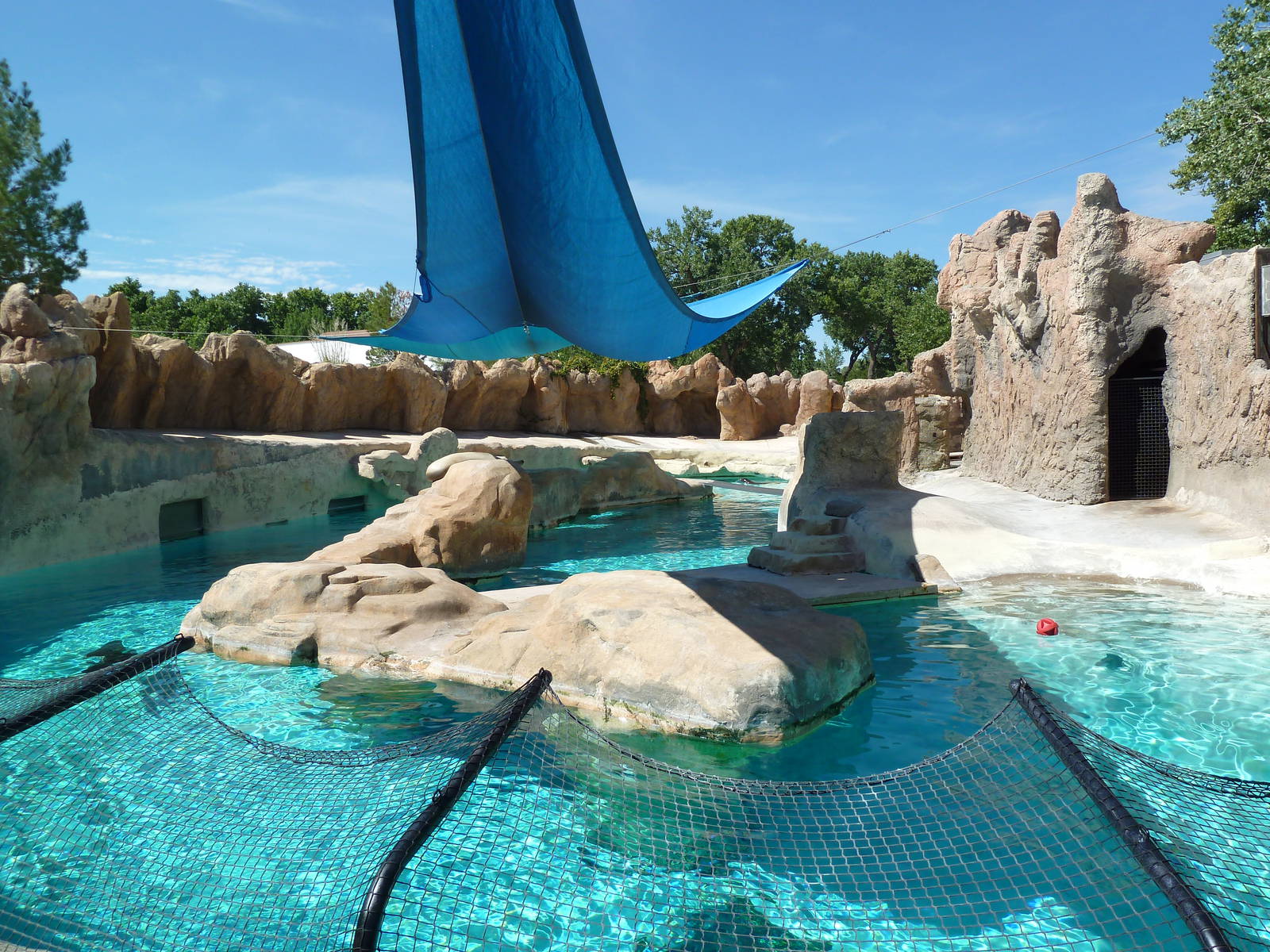 Gray Seal/Harbor Seal/California Sea Lion Exhibit