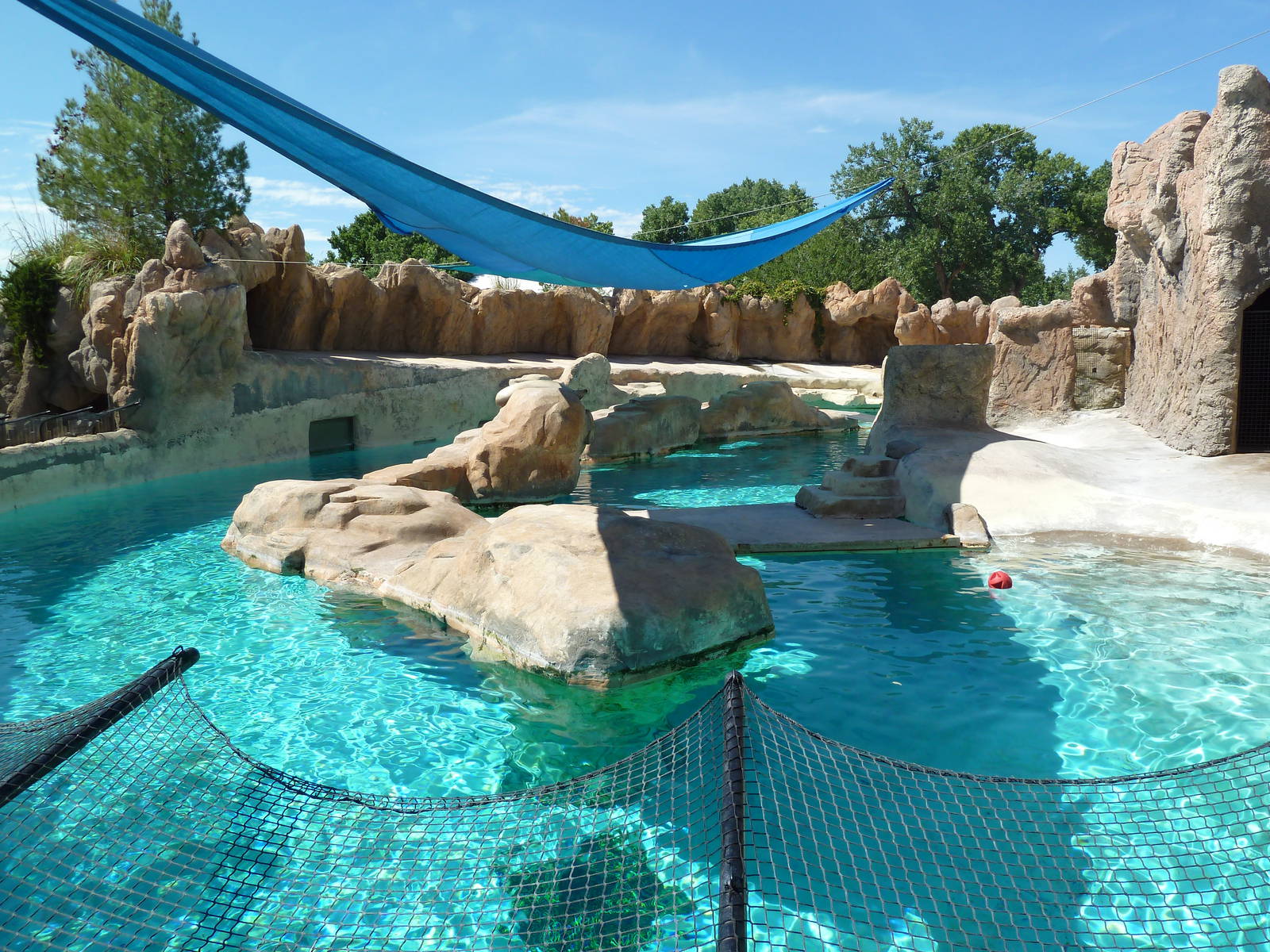 Gray Seal/Harbor Seal/California Sea Lion Exhibit