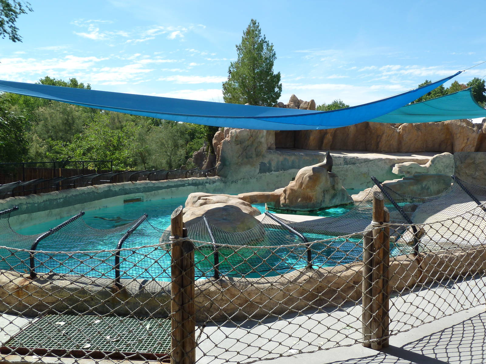 Gray Seal/Harbor Seal/California Sea Lion Exhibit