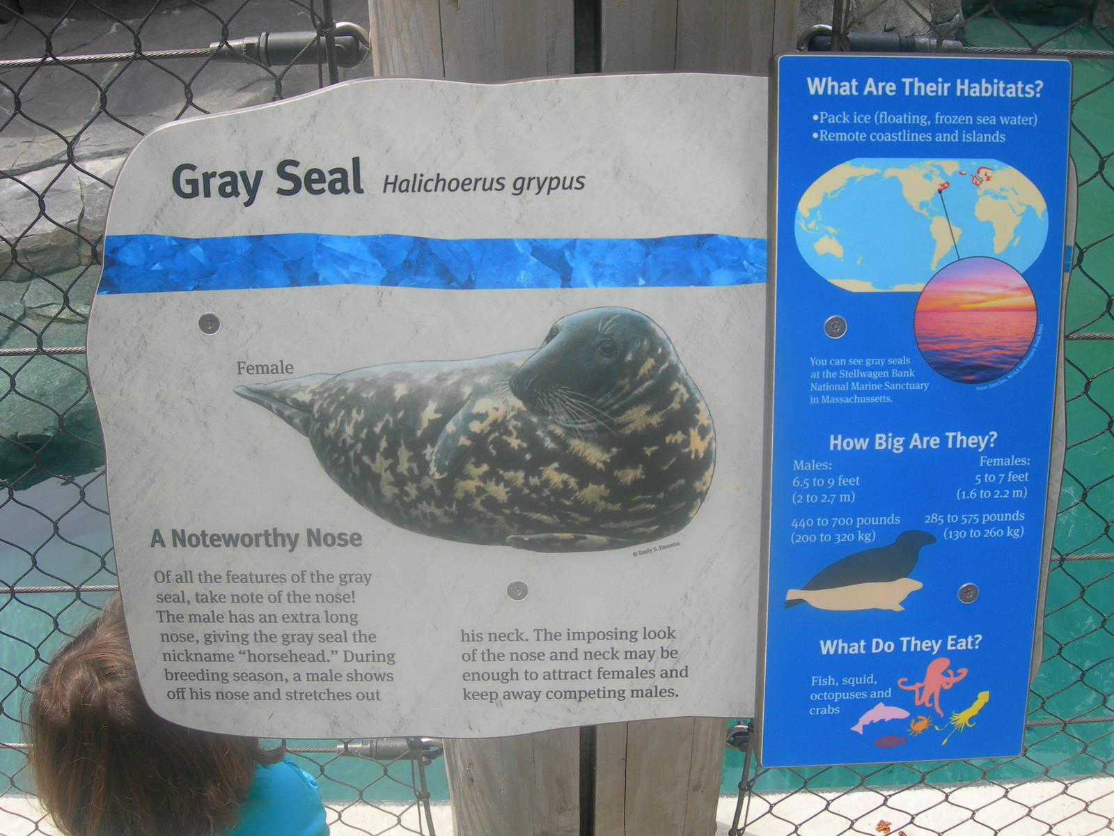 Gray seal sign