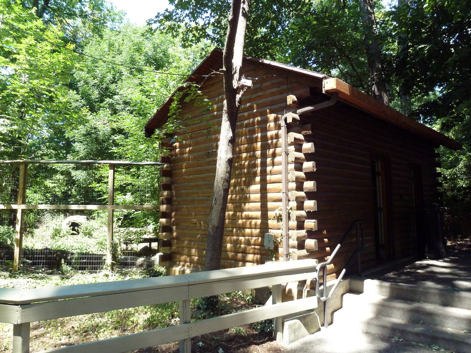Gray Wolf Cabin - Viewing Area