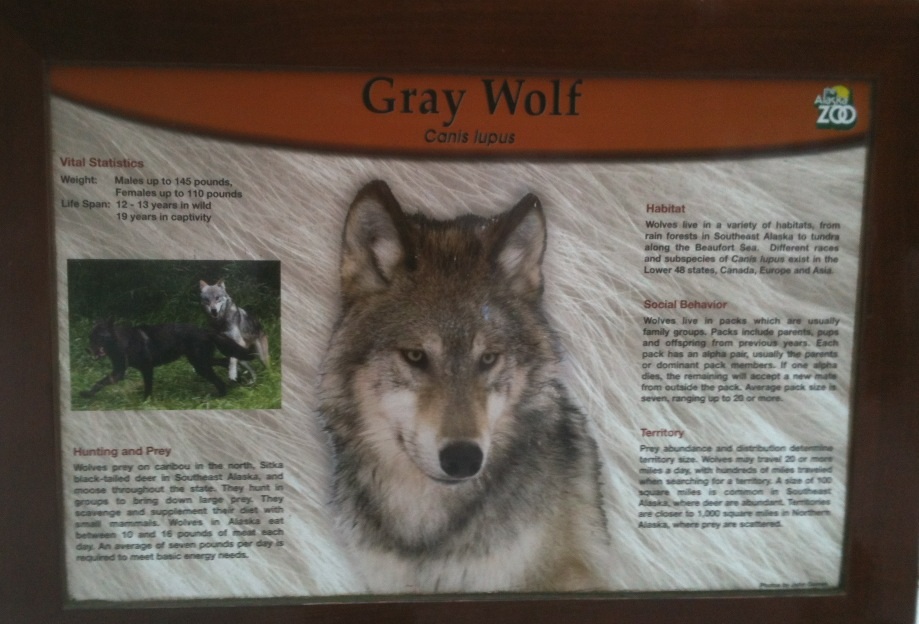 Gray Wolf Educational Sign