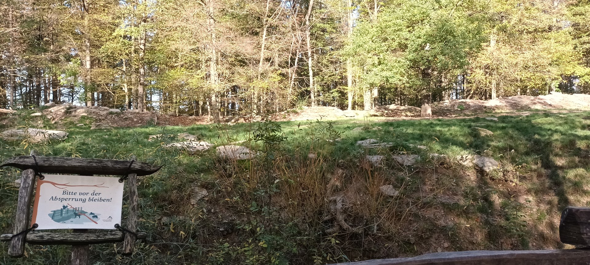 Gray Wolf Enclosure
