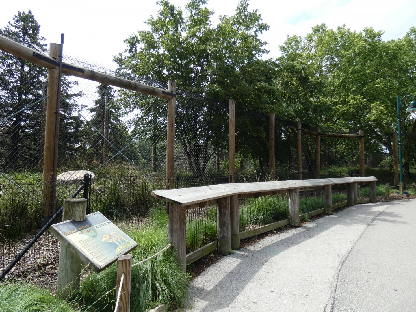 Gray Wolf Exhibit, Arctic Encounter - July 2021