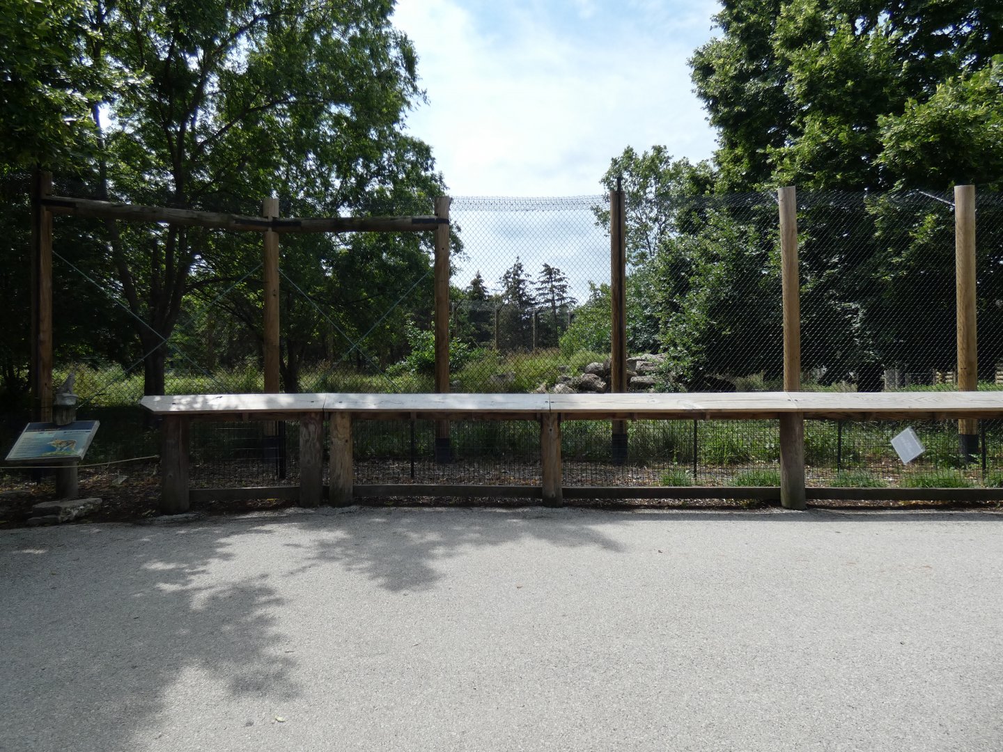 Gray Wolf Exhibit, Arctic Encounter - July 2021