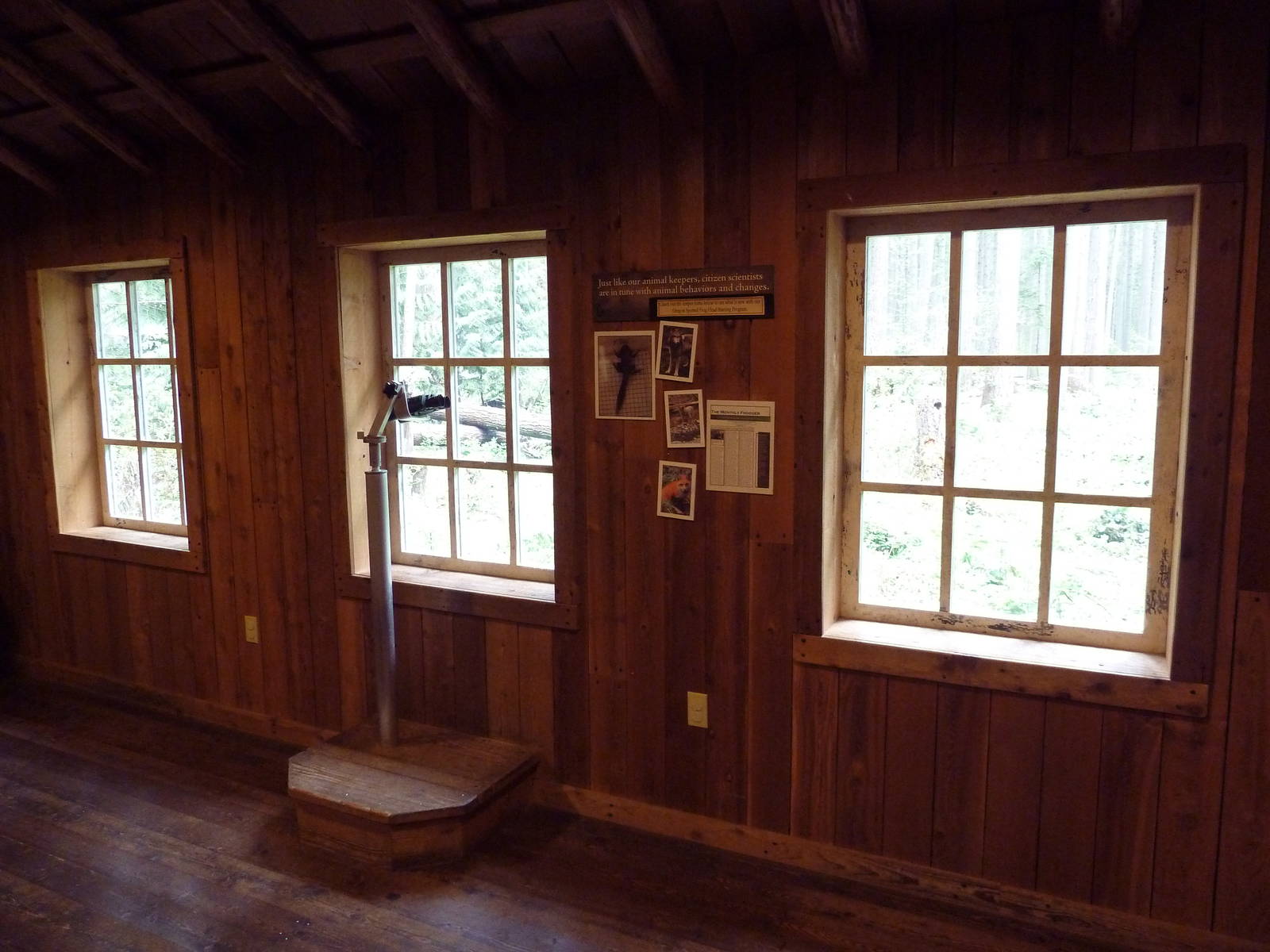 Gray Wolf Exhibit - Baker Research Cabin