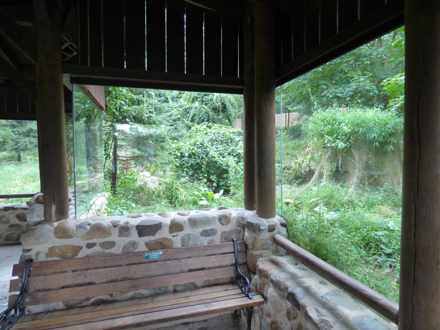 Gray Wolf Exhibit - Sept. 2018