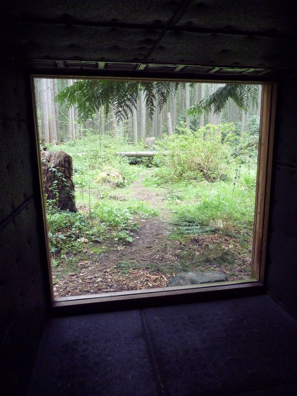 Gray Wolf Exhibit - Viewing Tunnel