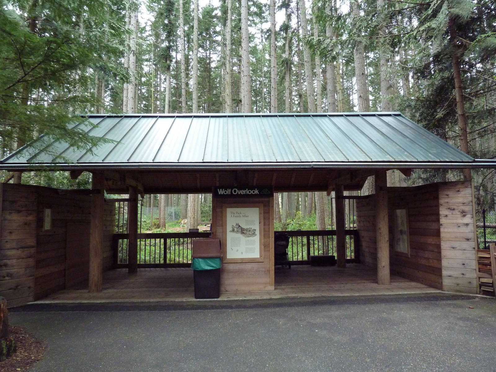 Gray Wolf Exhibit