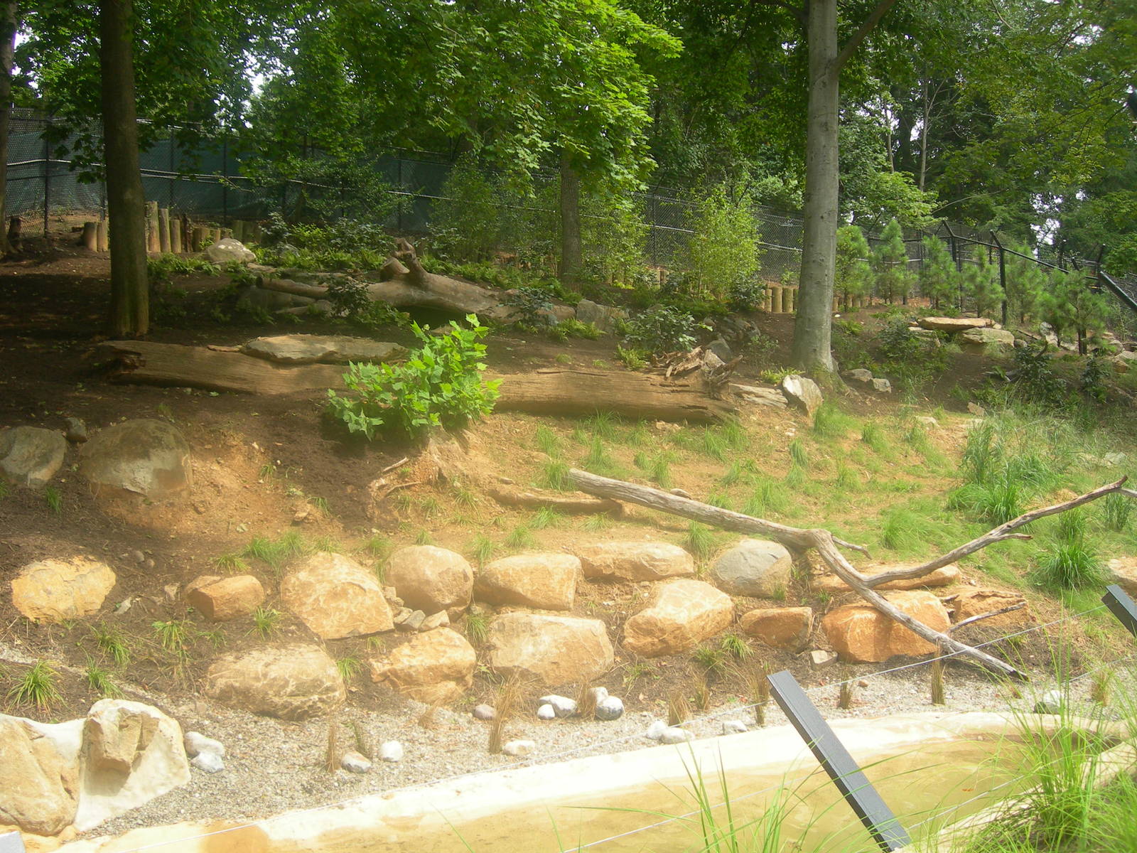 Gray Wolf Exhibit